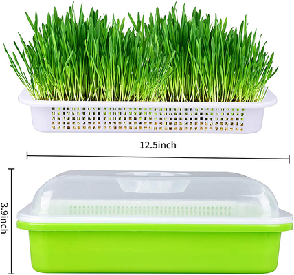 Pousse de transmission légère Tray Seed Germination Box Flexible de graine