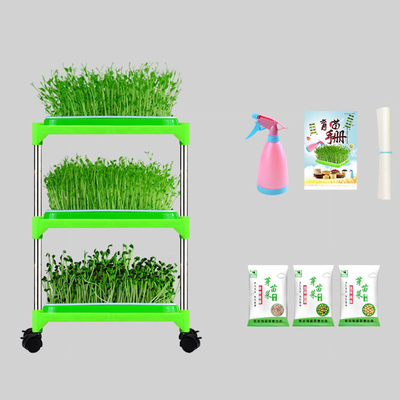 Jeune plante hydroponique d'intérieur Tray Stand For Family Corrosion de pp résistant