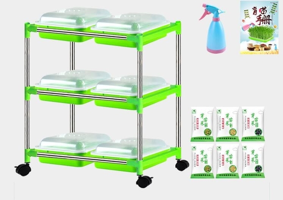 Jeune plante multicouche Tray Stand Microgreen Hydroponic Trays biodégradable