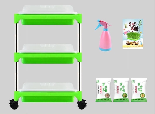 Jeune plante multicouche Tray Stand Microgreen Hydroponic Trays biodégradable
