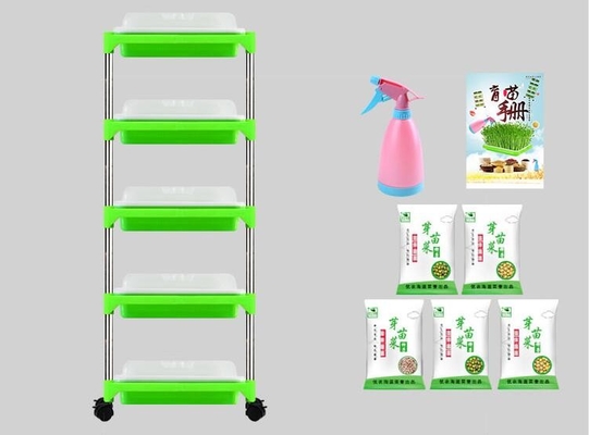 Jeune plante multicouche Tray Stand Microgreen Hydroponic Trays biodégradable