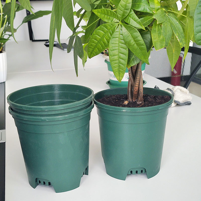 Pots ronds en plastique résistants d'usine des pots 9cm de pépinière de 6 pouces de Sun de famille