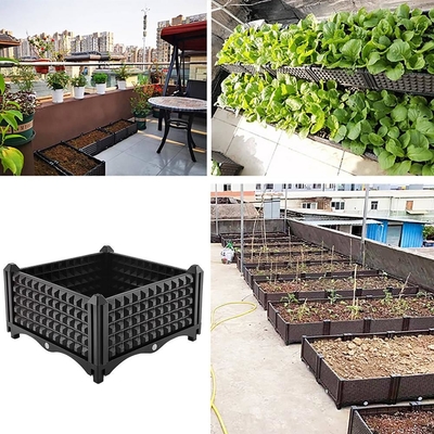 Les fruits de fleur élèvent le planteur en plastique sur résistant UV multifonctionnel de roues