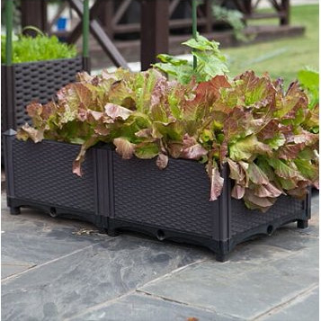 Les échantillons faciles de dégradation de longue de jardin boîte en plastique personnalisable de planteur ont offert
