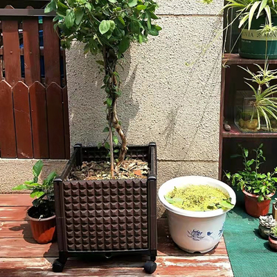 Preuve en plastique d'insecte de boîte de planteur de rectangle de boîte de planteur à roues par patio drainable