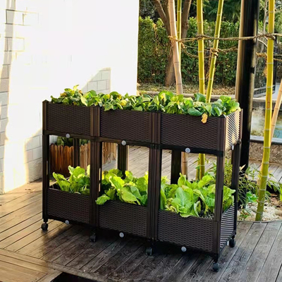 Lits de plantation augmentés en plastique entreposables de preuve d'insecte Herb Planter Box On Wheels