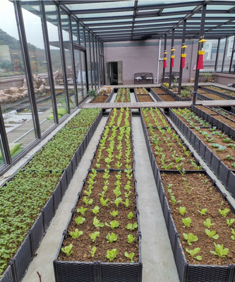 Boîte en plastique élevée multifonctionnelle de planteur pour la résistance aux intempéries de culture de légumes