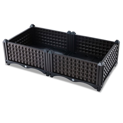 Boîte en plastique non enduite de planteur de jardin pour l'antioxydant de myrtilles
