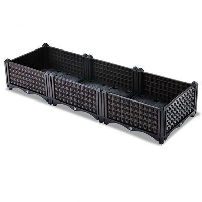 Boîte en plastique non enduite de planteur de jardin pour l'antioxydant de myrtilles
