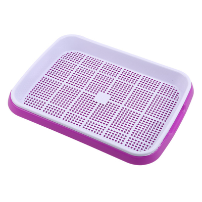 Longueur hydroponique respirable multicolore du plateau 31cm de jeune plante recyclable