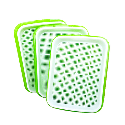 Longueur hydroponique respirable multicolore du plateau 31cm de jeune plante recyclable