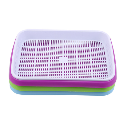 Longueur hydroponique respirable multicolore du plateau 31cm de jeune plante recyclable