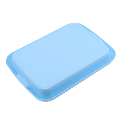 Taille adaptée aux besoins du client stabilisée UV de plat de Rich Nutrition Seed Sprout Tray