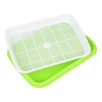 Pousse de transmission légère Tray Seed Germination Box Flexible de graine