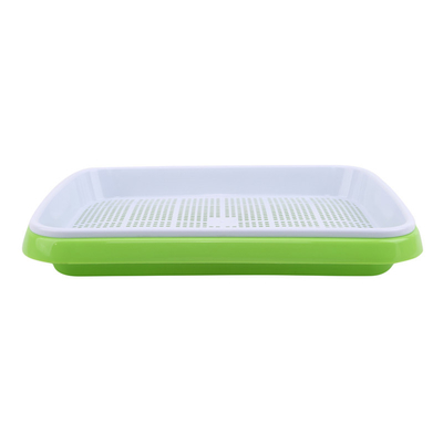 Culture rectangulaire plantant la pousse Tray Environmentally Friendly de graine