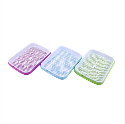 Plateau facilement assemblé de pousse de graine
