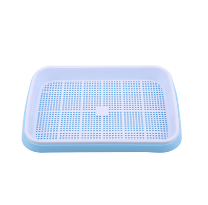 longueur Bean Sprout Growing Tray Two Tray Sprouter No Leakage de 31cm