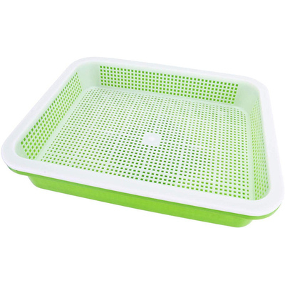 longueur Bean Sprout Growing Tray Two Tray Sprouter No Leakage de 31cm