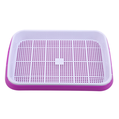 longueur Bean Sprout Growing Tray Two Tray Sprouter No Leakage de 31cm