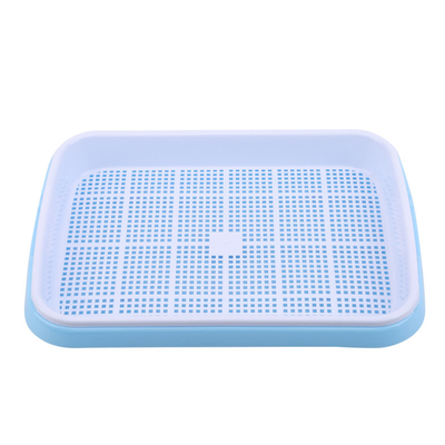longueur Bean Sprout Growing Tray Two Tray Sprouter No Leakage de 31cm