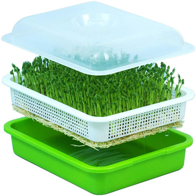 Pousse d'intérieur Tray Eco Friendly de graine de polypropylène de culture de l'eau