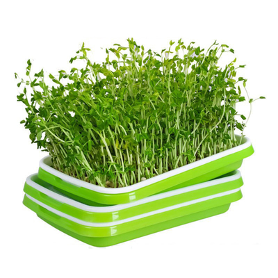 Plateaux recyclables de germination de pp Microgreen avec l'utilisation de cuisine de couvercle de couverture