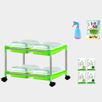 Jeune plante végétale Tray Stand For Nursery de hydrater de catégorie comestible de GV