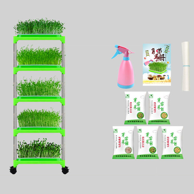 Jeune plante enduite Tray Stand Mung Bean Sprouting Tray Environment de PE amical